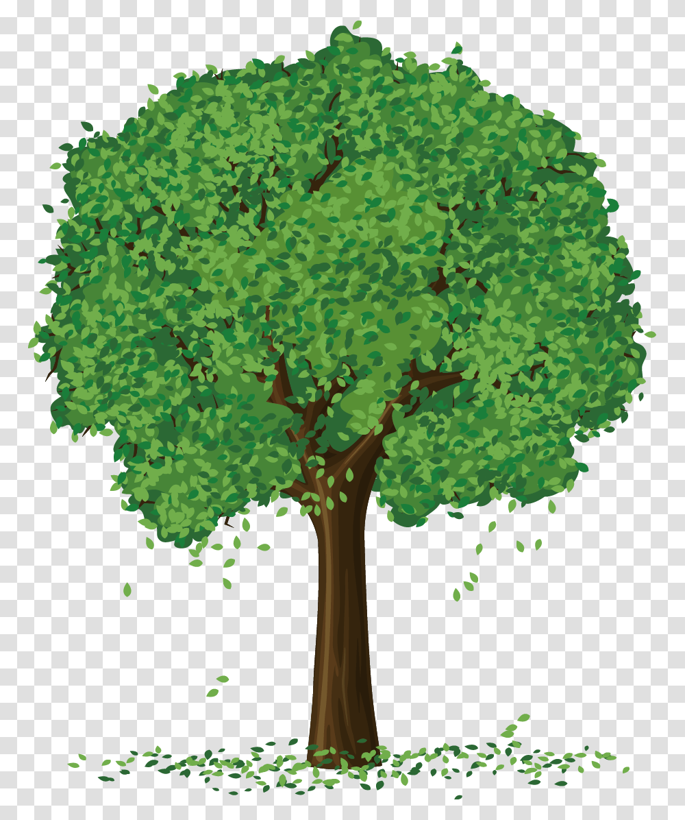 Apple Tree Clipart, Plant, Oak, Vegetation, Leaf Transparent Png
