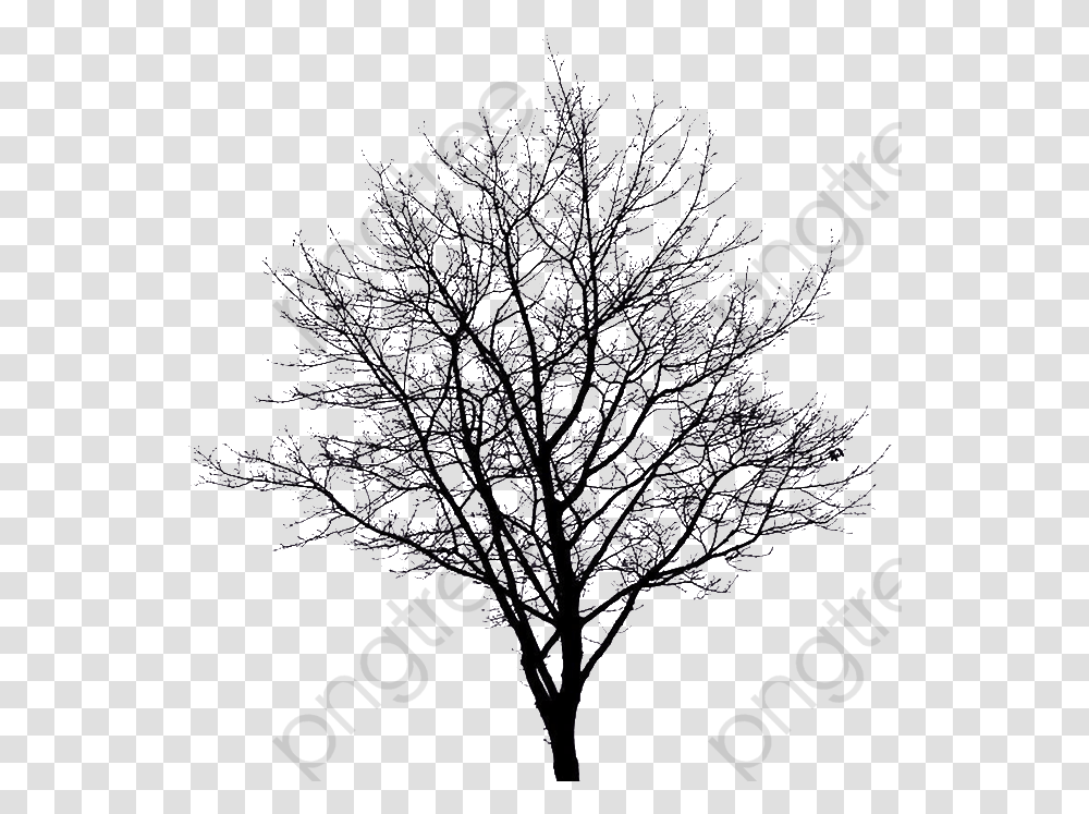 Apple Tree Clipart Winter Winter Tree Silhouette, Nature, Outdoors, Plant, Night Transparent Png