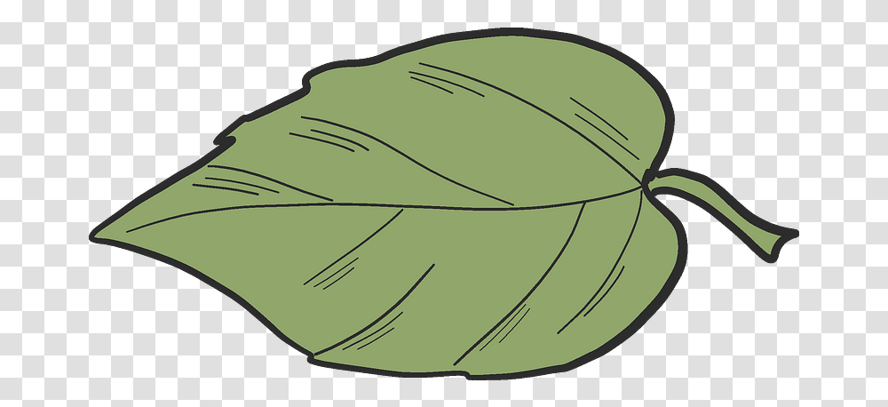 Apple Tree Leaf Clipart Free Download Tree Leaf Clipart, Dish, Meal, Food, Plant Transparent Png