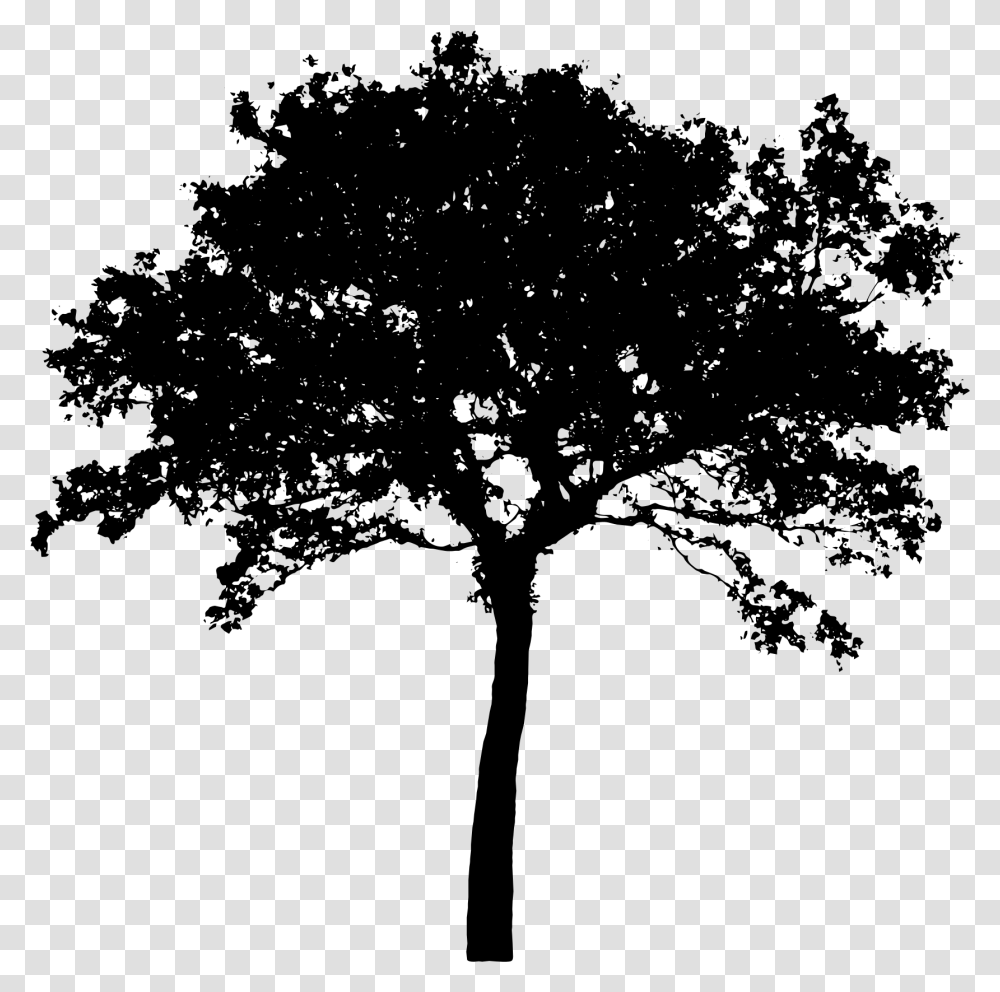 Apple Tree Silhouette Silhouette Tree Vector, Gray, World Of Warcraft Transparent Png