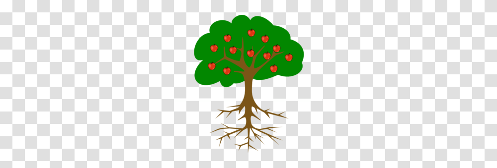 Apple Tree With Roots Clip Art Grandparents Day, Plant Transparent Png