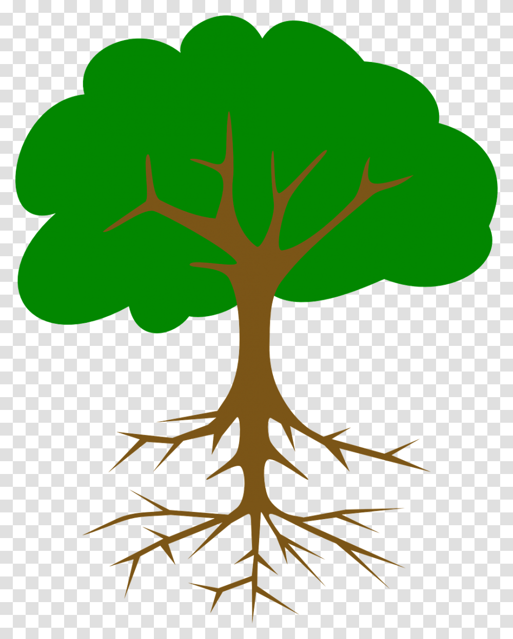 Apple Tree With Roots, Plant, Poster, Advertisement Transparent Png