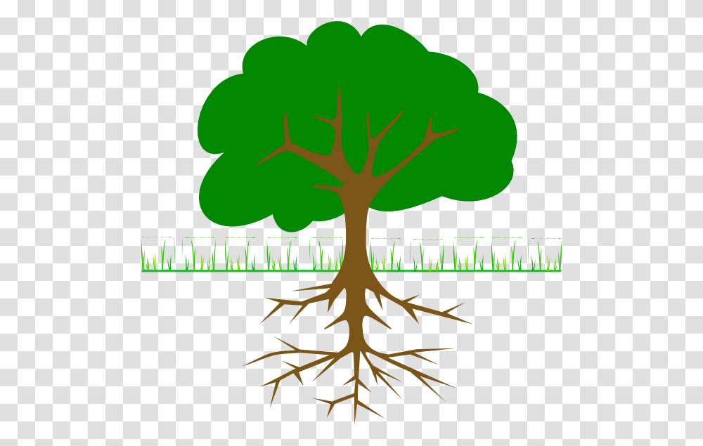 Apple Tree With Roots, Plant Transparent Png