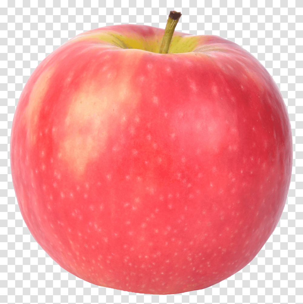 Apple Varieties Usapple Pink Apple, Fruit, Plant, Food Transparent Png