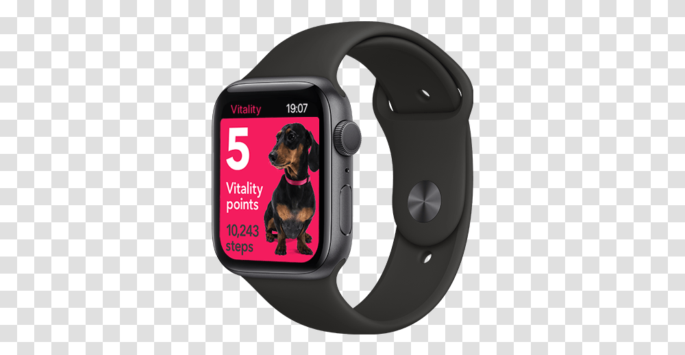 Apple Watch Deal With Vitality Offer Apple Watch Series 6 Space Grey, Wristwatch, Dog, Pet, Canine Transparent Png