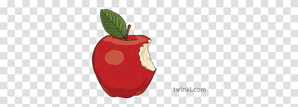 Apple With Bite Mark Illustration Mcintosh, Plant, Fruit, Food, Birthday Cake Transparent Png