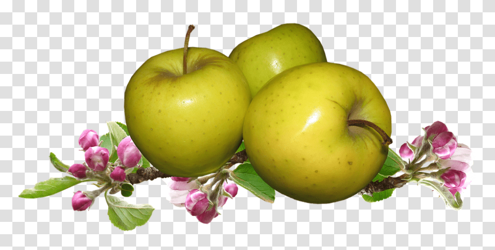 Apples 960, Fruit, Plant, Food Transparent Png