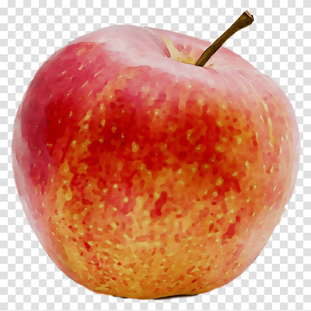 Apples Accessory Fruit Food Apple, Plant, Fungus, Egg, Vegetable Transparent Png