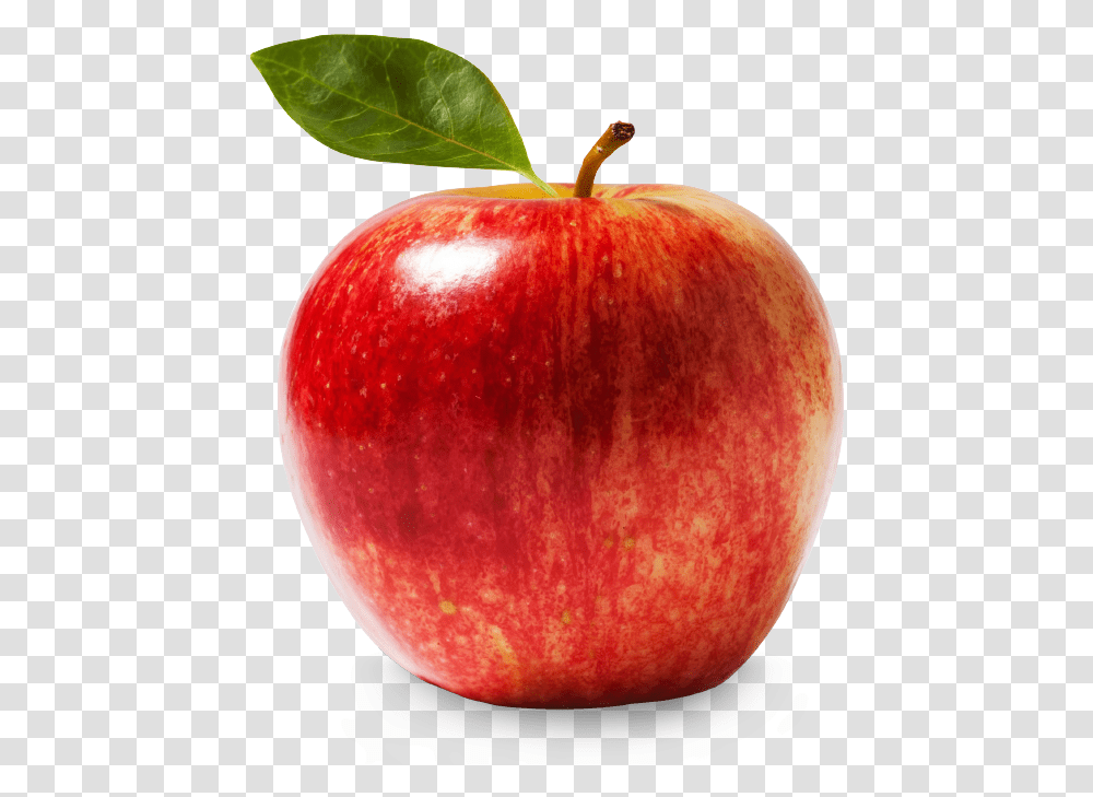 Apples En Greefa Apple Fruit, Plant, Food Transparent Png