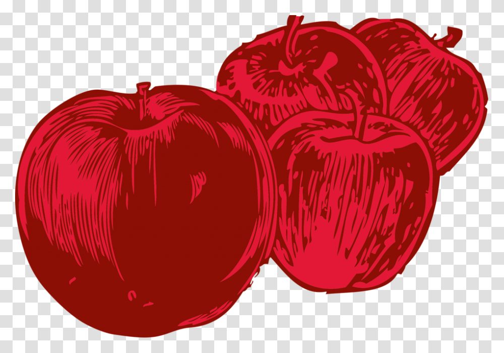 Apples Free Stock Photo Illustration Of Four Red Apples, Plant, Fruit, Food Transparent Png