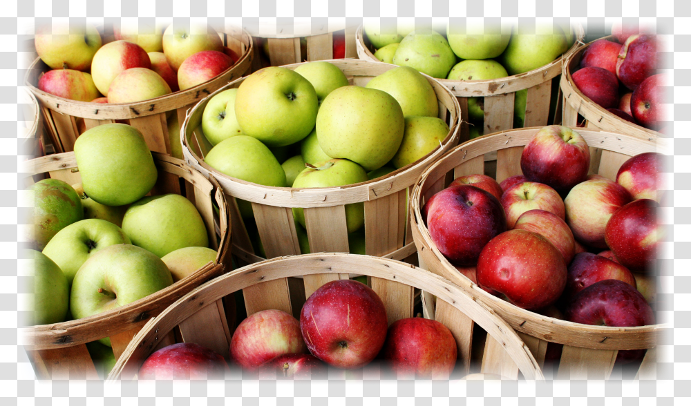 Apples Produccion De Manzanas Y Peras Transparent Png
