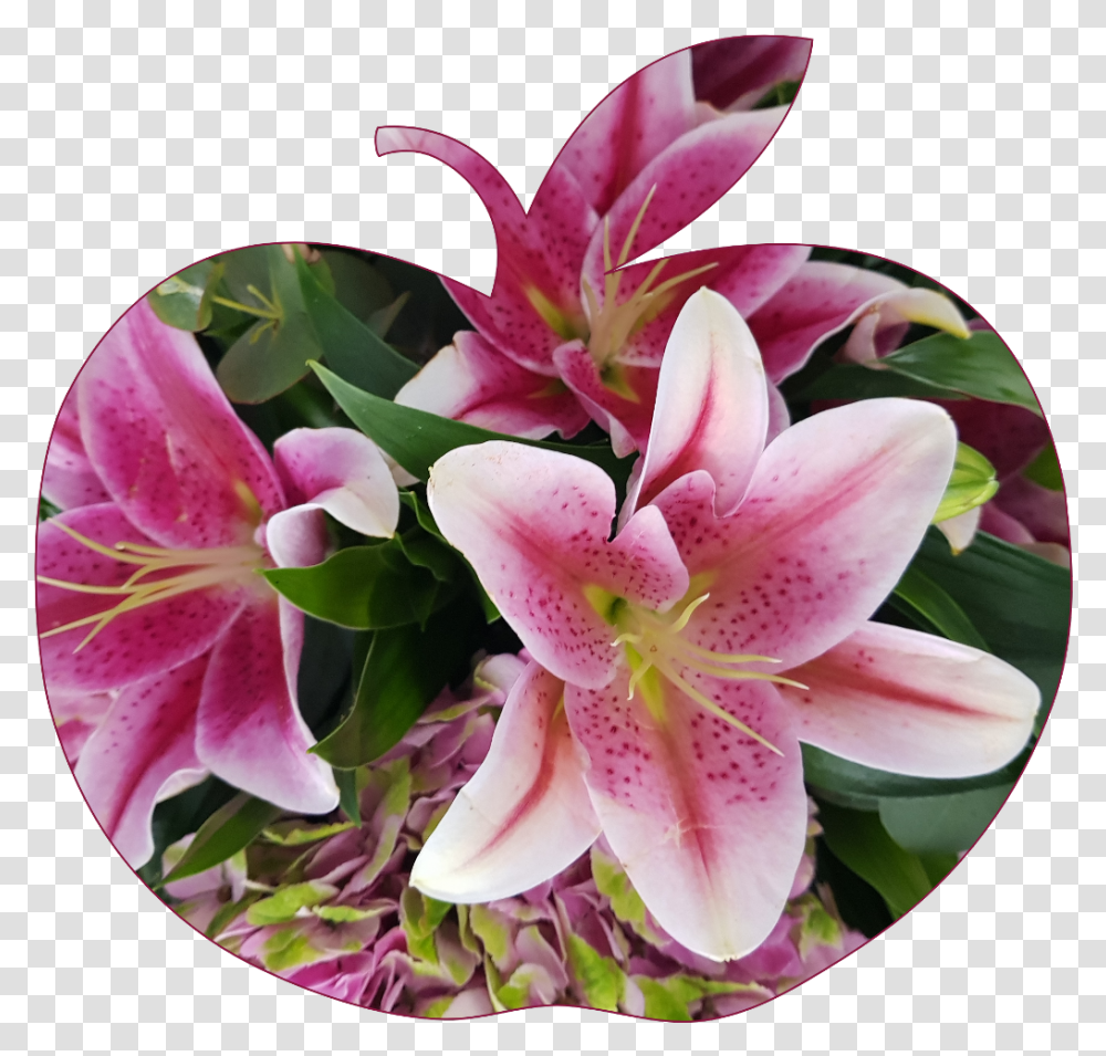 Applesticker Apple Flower Flowers Pink Lilly Stargazer Lily, Plant, Blossom, Flower Arrangement, Flower Bouquet Transparent Png