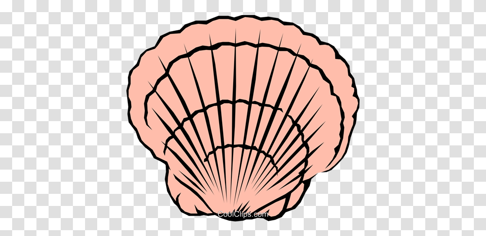 Applique Osier Grill Dome, Lamp, Clam, Seashell, Invertebrate Transparent Png