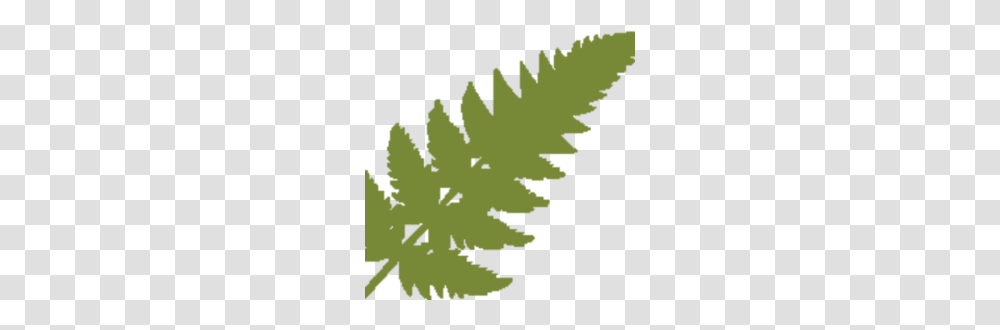 Apply Now Fernbrook Family Center, Leaf, Plant, Green, Weed Transparent Png