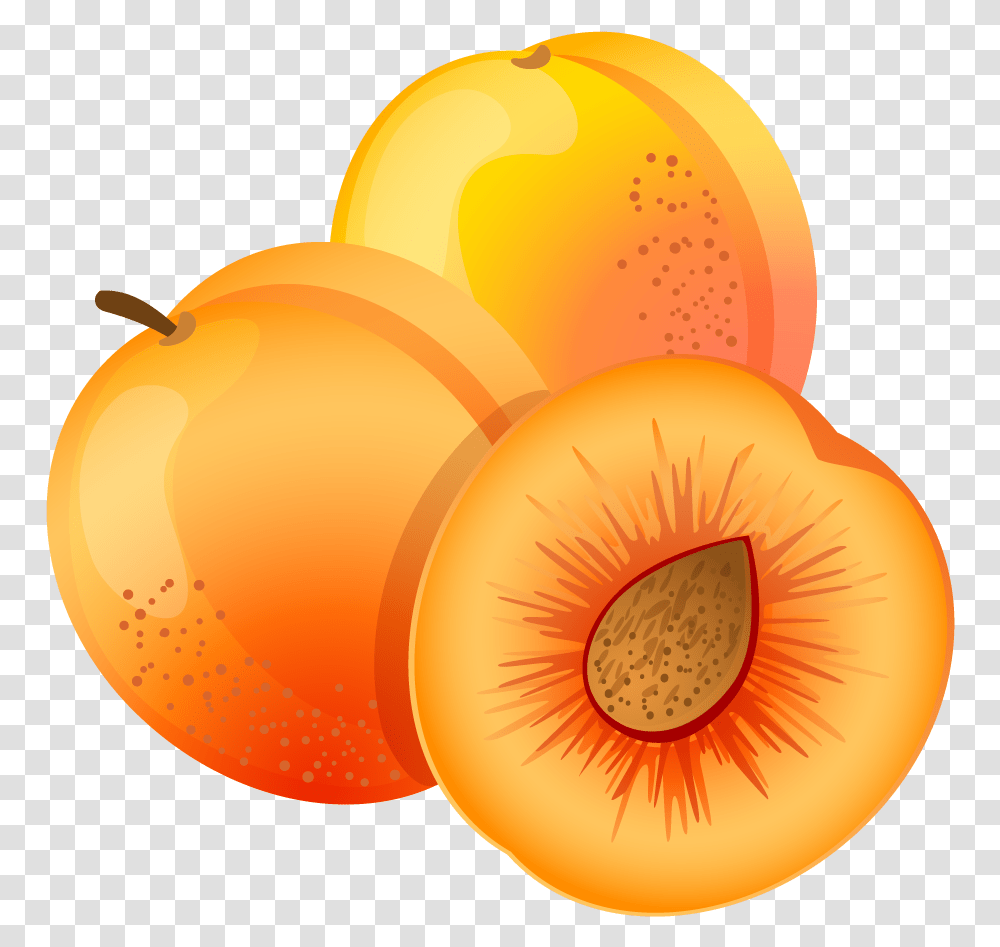 Apricot Apricot Clipart, Plant, Fruit, Food, Produce Transparent Png