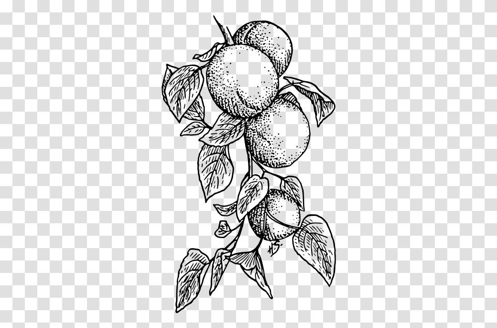 Apricot Black And White Peach Tree, Gray, World Of Warcraft Transparent Png