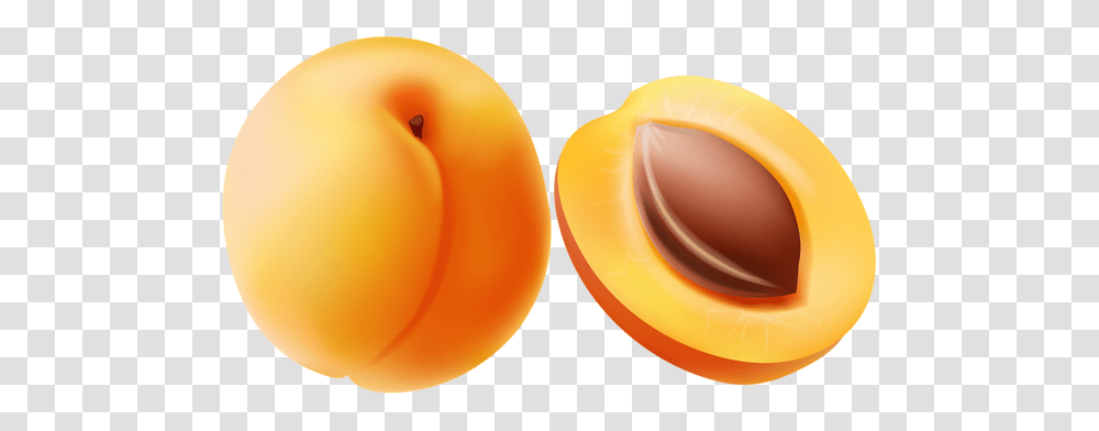 Apricot Clip Art, Plant, Fruit, Food, Balloon Transparent Png