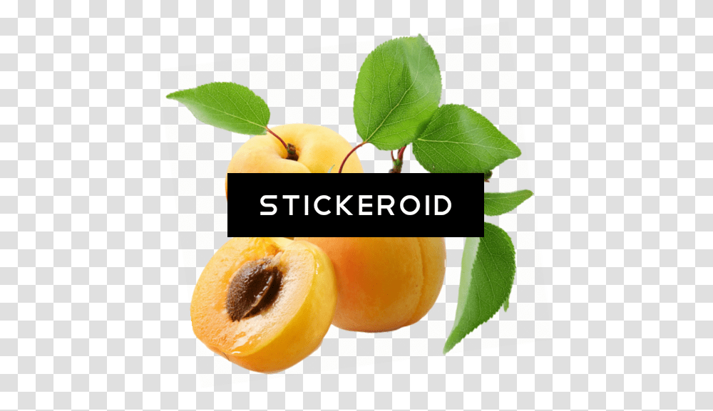 Apricot Clipart, Plant, Fruit, Food, Produce Transparent Png