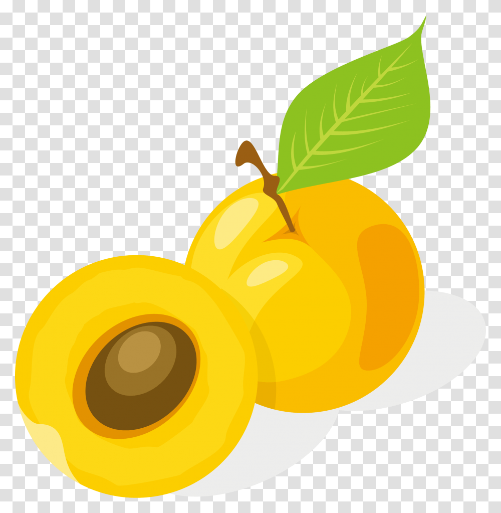 Apricot Drawing Fruit Apricot Cartoon, Plant, Produce, Food, Sweets Transparent Png