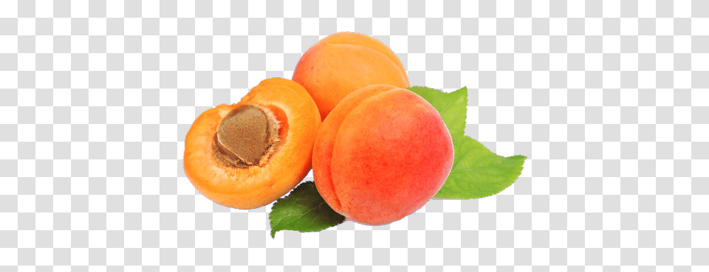 Apricot Free Download Arts, Plant, Fruit, Food, Produce Transparent Png