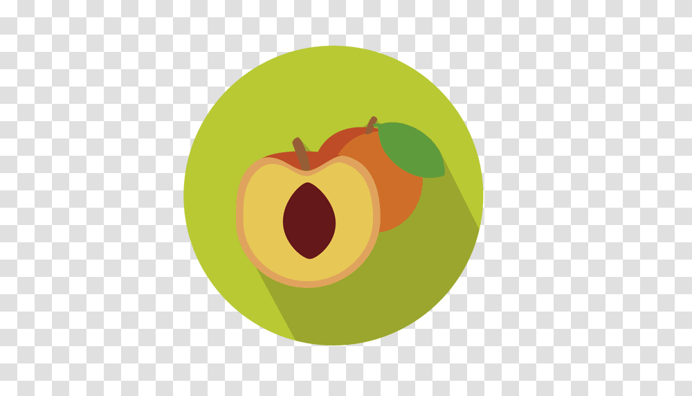 Apricot Fruit Circle Icon, Plant, Food, Produce, Peach Transparent Png