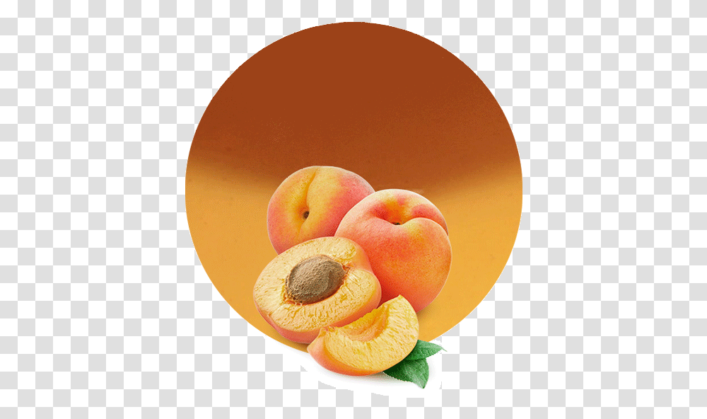 Apricot Fruit In Nepali, Plant, Food, Peach, Produce Transparent Png