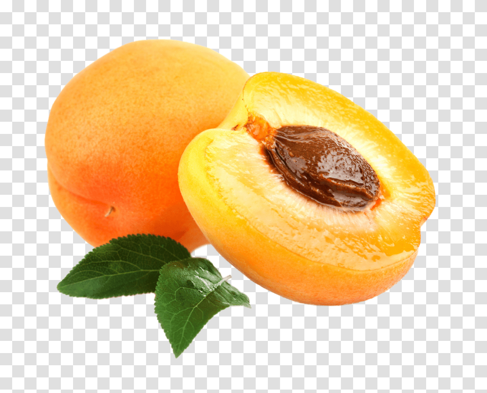 Apricot, Fruit, Orange, Citrus Fruit, Plant Transparent Png