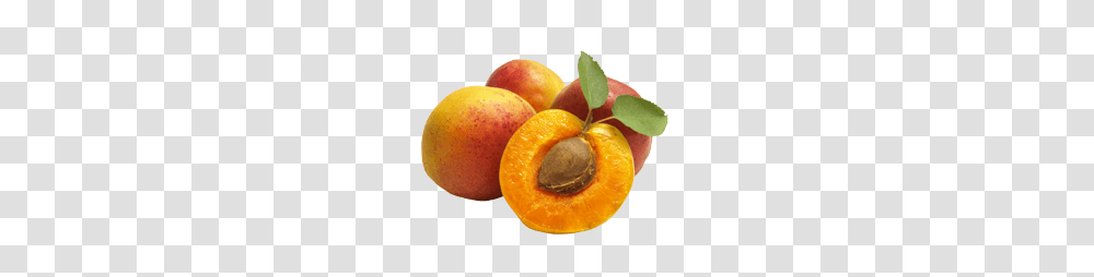 Apricot, Fruit, Plant, Food, Produce Transparent Png