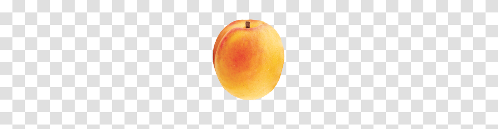 Apricot, Fruit, Plant, Food, Produce Transparent Png