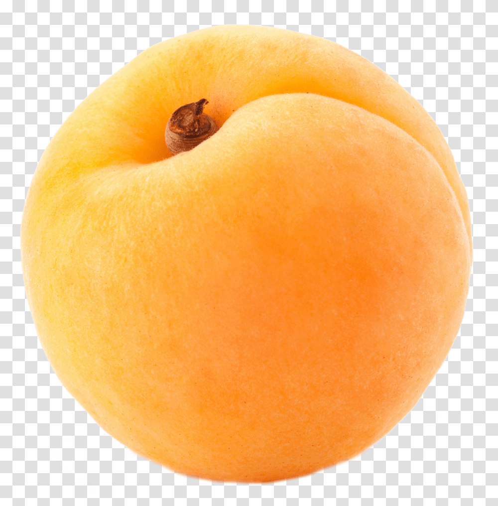 Apricot, Fruit, Plant, Orange, Citrus Fruit Transparent Png