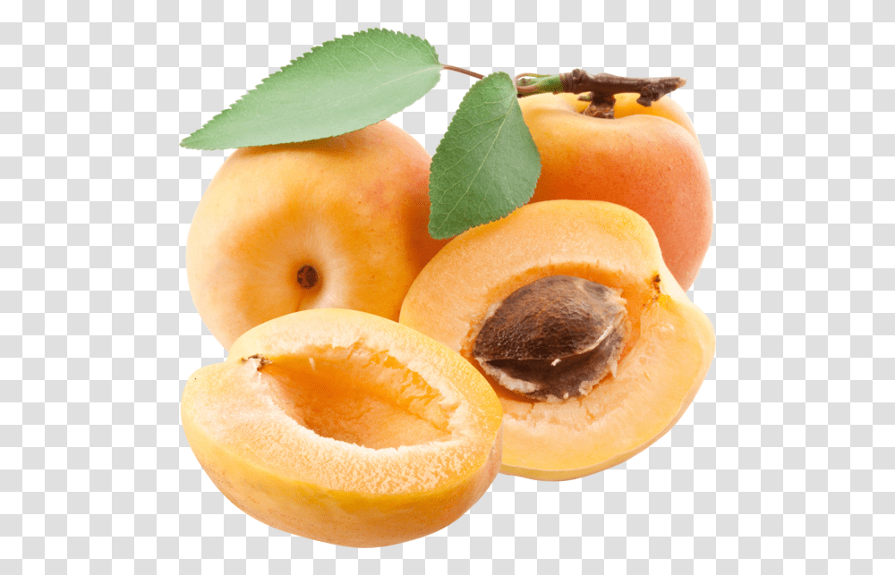 Apricot, Fruit, Plant, Produce, Food Transparent Png