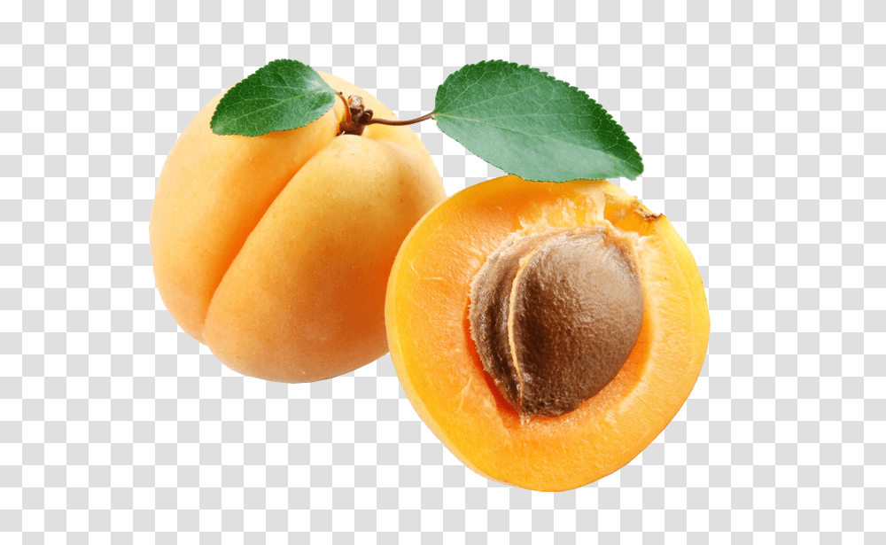 Apricot, Fruit, Plant, Produce, Food Transparent Png