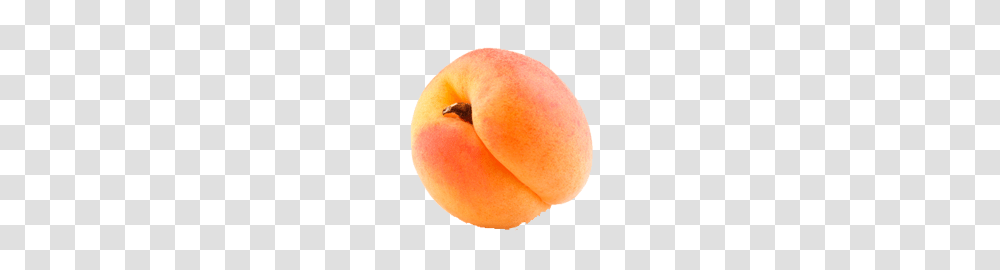 Apricot, Fruit, Plant, Produce, Food Transparent Png