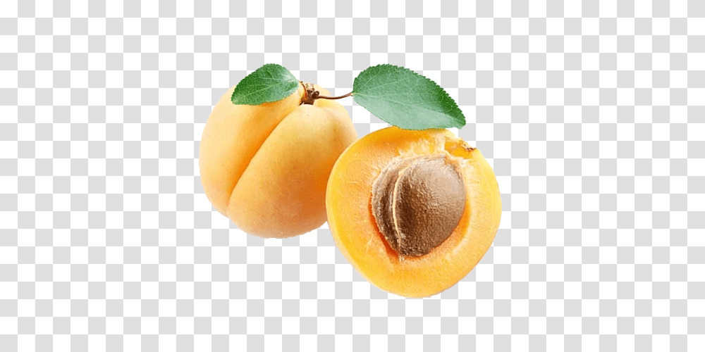 Apricot, Fruit, Plant, Produce, Food Transparent Png