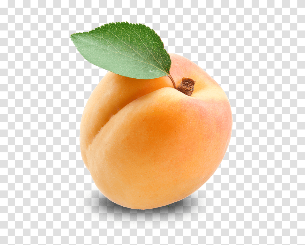 Apricot, Fruit, Plant, Produce, Food Transparent Png