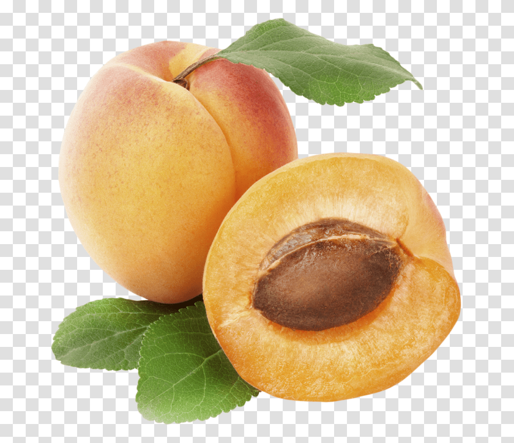 Apricot, Fruit, Plant, Produce, Food Transparent Png