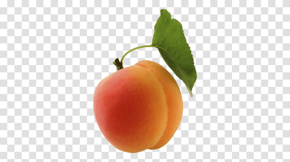 Apricot, Fruit, Plant, Produce, Food Transparent Png