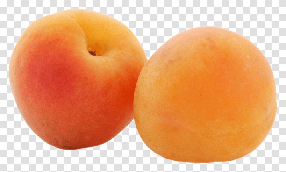 Apricot, Fruit Transparent Png
