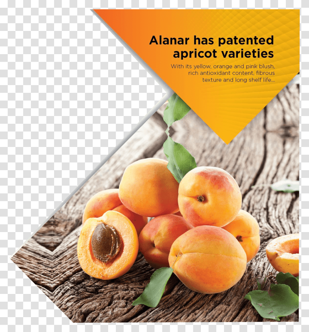 Apricot Fruits Et Lgumes Qui On Du Fer, Plant, Produce, Food, Peach Transparent Png
