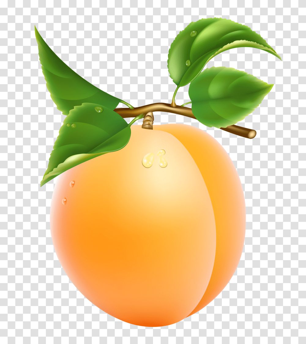 Apricot Image Apricot Clipart, Plant, Fruit, Food, Produce Transparent Png