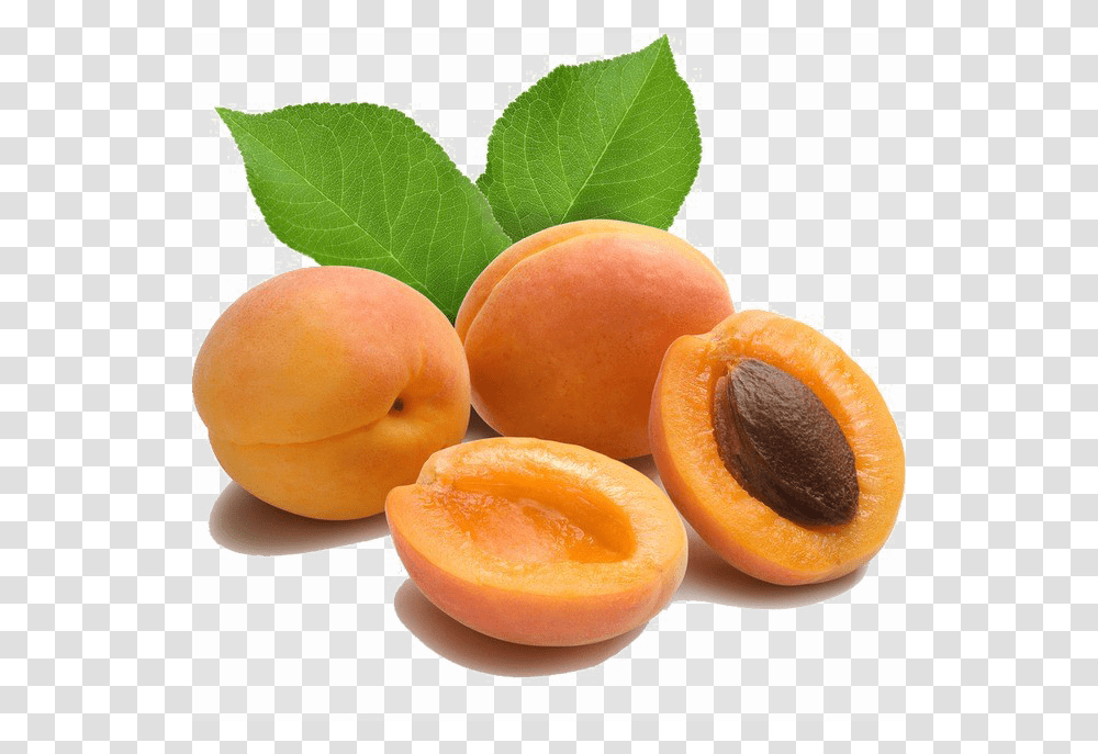 Apricot Image Arts, Plant, Fruit, Produce, Food Transparent Png