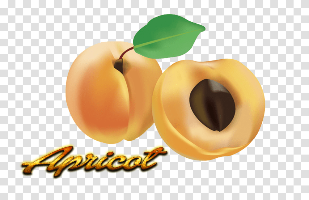Apricot Images, Plant, Fruit, Produce, Food Transparent Png