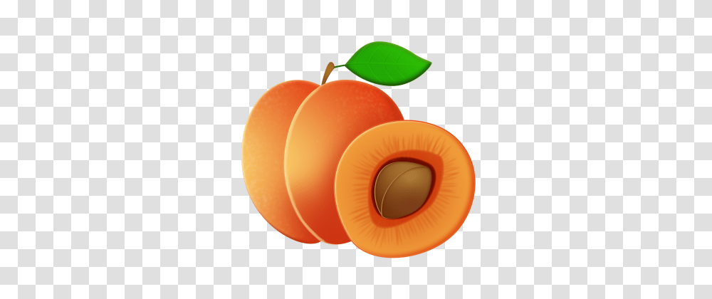 Apricot Images Vectors And Free Download, Plant, Fruit, Food, Produce Transparent Png
