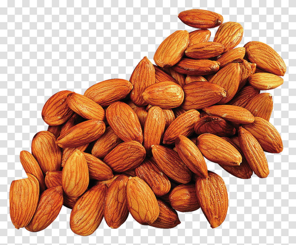 Apricot Kernel Almond Oil Food Almonds, Plant, Nut, Vegetable, Fungus Transparent Png