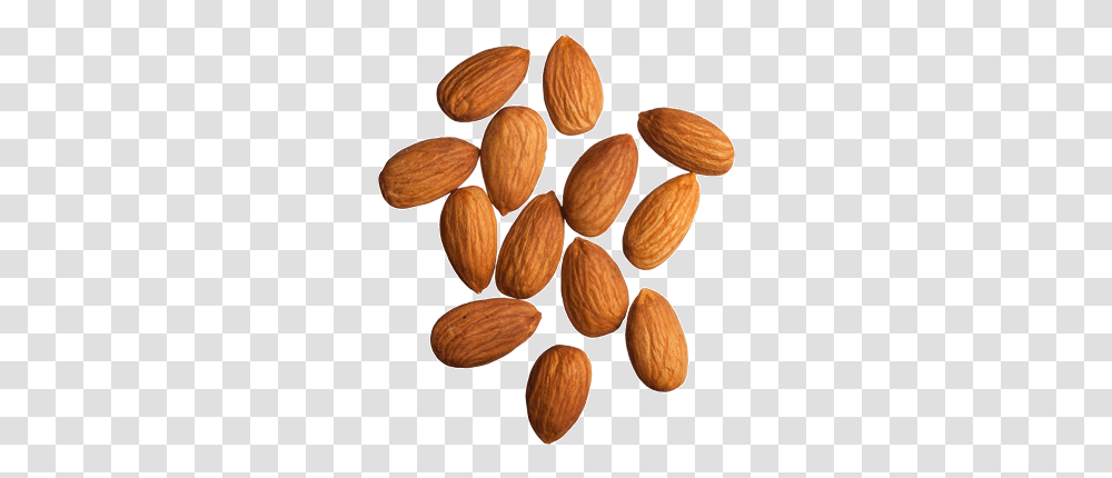 Apricot Kernel Almonds, Nut, Vegetable, Plant, Food Transparent Png