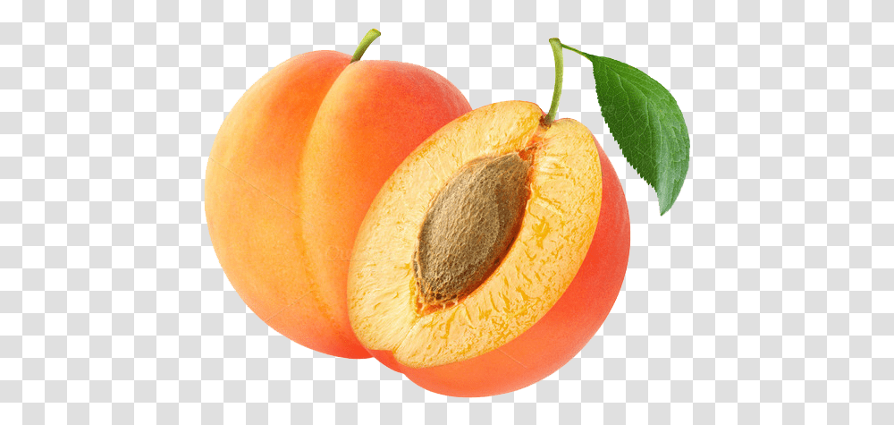Apricot Kernel Amygdalin Fruit Almond Apricot, Plant, Produce, Food, Orange Transparent Png