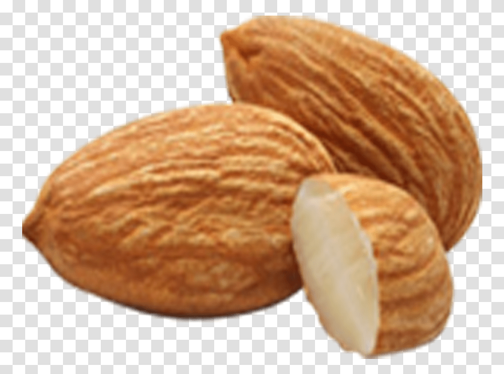 Apricot Kernel Seed Almonds, Plant, Nut, Vegetable, Food Transparent Png