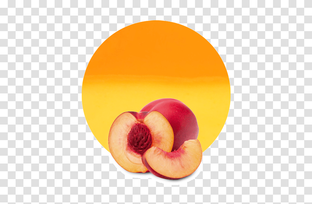 Apricot Nectarine Puree, Plant, Peach, Fruit, Food Transparent Png