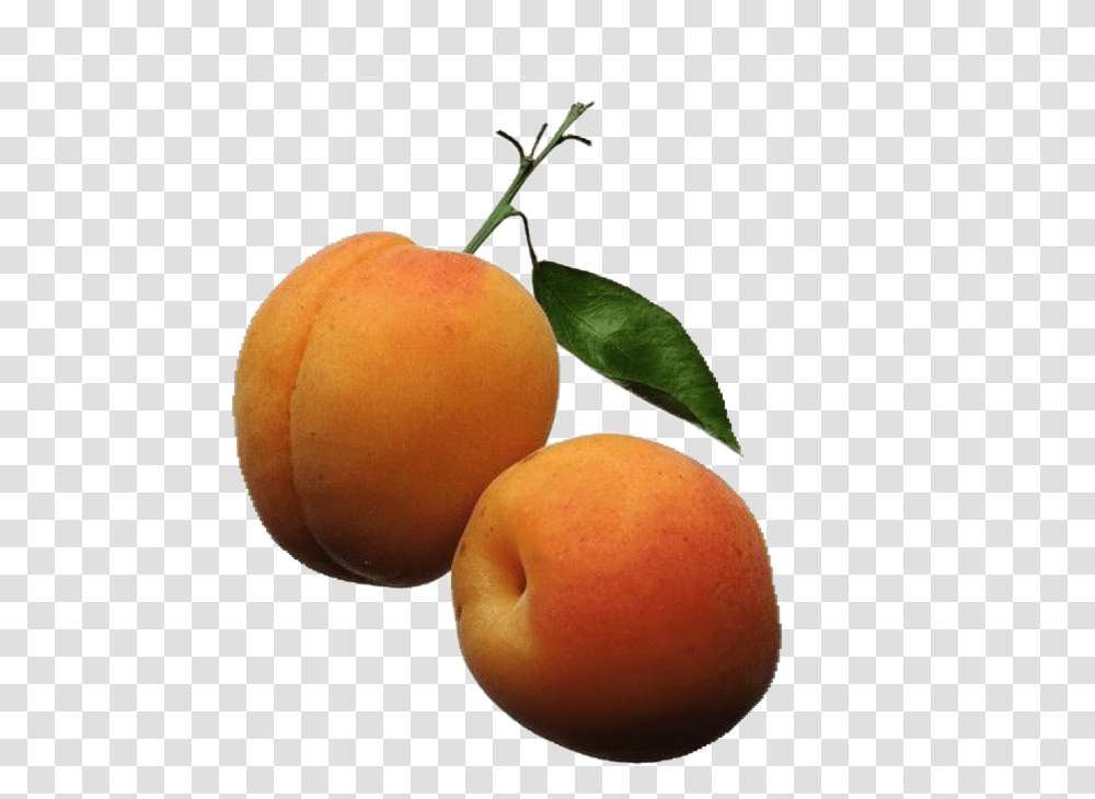 Apricot Orange Color Fruits, Plant, Produce, Food, Egg Transparent Png
