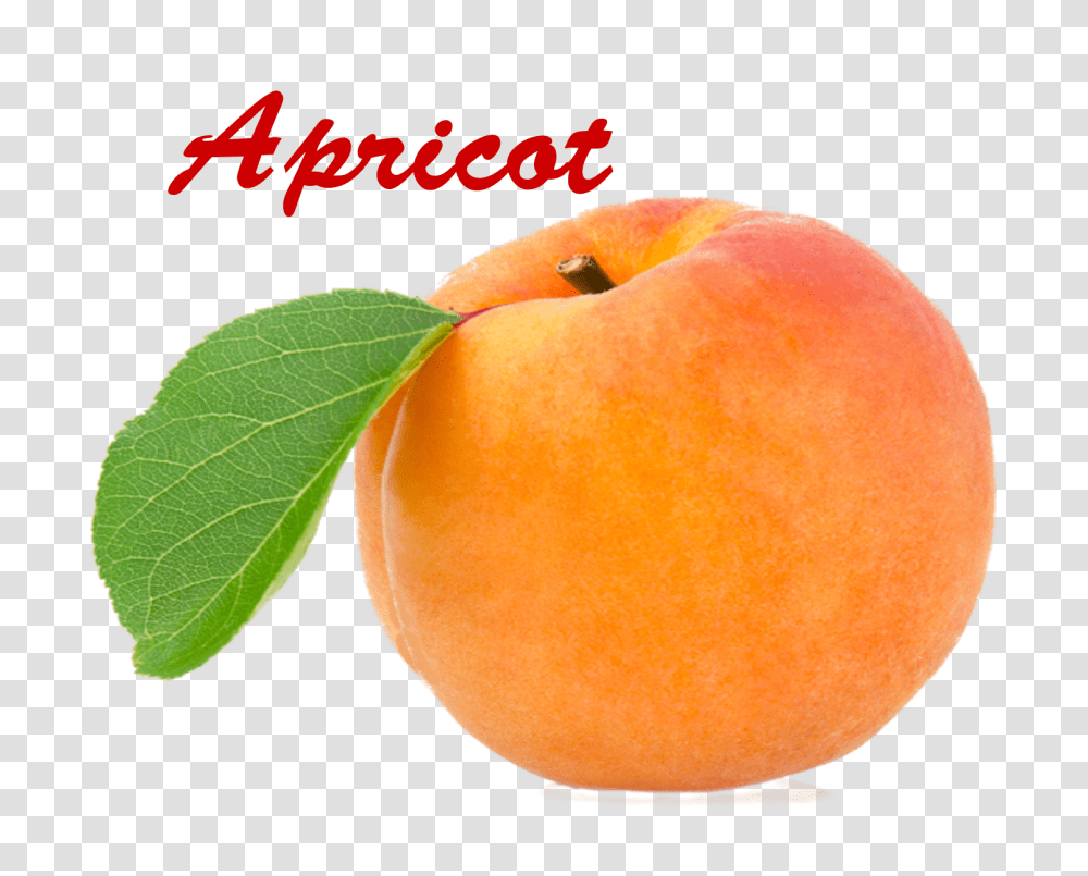Apricot Picture, Orange, Citrus Fruit, Plant, Food Transparent Png